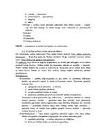 Konspekts 'Latvijas valsts un tiesību vēsture', 25.