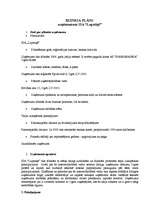 Biznesa plāns 'Biznesa plāns uzņēmumam SIA "Lupatiņš"', 1.