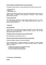 Biznesa plāns 'Biznesa plāns uzņēmumam SIA "Lupatiņš"', 4.