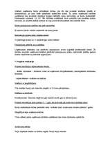 Biznesa plāns 'Biznesa plāns uzņēmumam SIA "Lupatiņš"', 5.