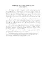 Biznesa plāns 'Biznesa plāns uzņēmumam SIA "Lupatiņš"', 8.