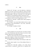 Referāts 'Mārketinga pasākumu kompleksa elementu salīdzināšana trīs kafejnīcās', 7.