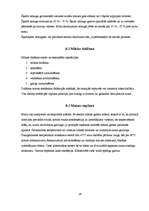 Referāts 'Ekonomiskais pamatojums un aprēķins tehnoloģiskajam procesam', 16.