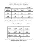 Referāts 'Ekonomiskais pamatojums un aprēķins tehnoloģiskajam procesam', 19.