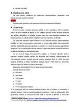 Referāts 'Iepakojuma apsaimniekošana', 6.