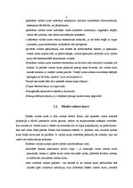 Referāts 'Valūta, valūtas tirgus', 4.