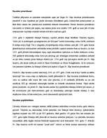 Referāts 'Ekskursija pa viduslaiku Rīgu', 9.