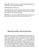 Referāts 'Ekskursija pa viduslaiku Rīgu', 30.