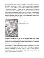 Referāts 'Ekskursija pa viduslaiku Rīgu', 60.