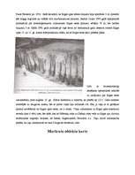 Referāts 'Ekskursija pa viduslaiku Rīgu', 61.