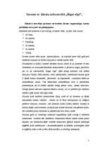 Prakses atskaite 'Izdevniecība "Rīgas Viļņi"', 8.