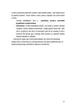 Prakses atskaite 'Izdevniecība "Rīgas Viļņi"', 22.