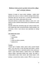 Prakses atskaite 'Izdevniecība "Rīgas Viļņi"', 23.