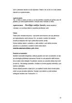 Prakses atskaite 'Izdevniecība "Rīgas Viļņi"', 24.