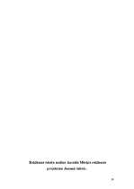 Prakses atskaite 'Izdevniecība "Rīgas Viļņi"', 28.