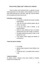 Prakses atskaite 'Izdevniecība "Rīgas Viļņi"', 49.