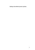 Prakses atskaite 'Izdevniecība "Rīgas Viļņi"', 55.