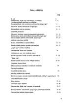 Prakses atskaite 'Izdevniecība "Rīgas Viļņi"', 74.