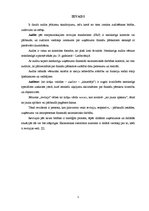 Referāts 'Audita un revīzijas veidu raksturojums', 3.