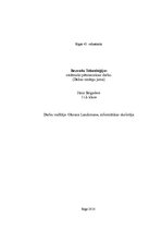 Referāts 'Bezvadu tehnoloģijas', 1.