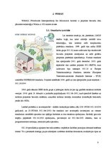 Referāts 'Bezvadu tehnoloģijas', 9.