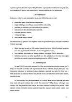 Referāts 'Bezvadu tehnoloģijas', 11.