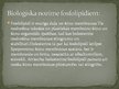 Prezentācija 'Fosfolipīdi', 8.