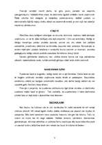 Referāts 'Kultūras faktoru ietekme uz komerciju, mārketingu', 5.