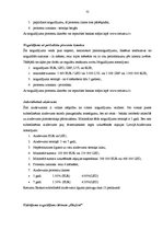 Prakses atskaite 'Prakses atskaite a/s "Rietumu banka"', 31.