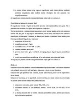 Prakses atskaite 'Prakses atskaite a/s "Rietumu banka"', 33.