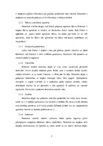 Referāts 'Vecgulbenes muižas mārketinga analīze', 5.