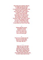 Eseja 'Apdzejojumu par dzīvi krājums "Vāks"', 3.