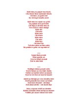 Eseja 'Apdzejojumu par dzīvi krājums "Vāks"', 5.