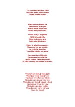 Eseja 'Apdzejojumu par dzīvi krājums "Vāks"', 9.