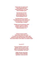 Eseja 'Apdzejojumu par dzīvi krājums "Vāks"', 10.