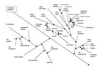 Konspekts 'Uzņēmuma kvalitātes shēmas', 2.