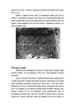 Referāts 'Svētā Meinarda sala', 5.