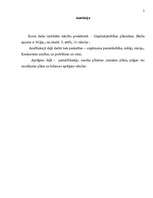 Biznesa plāns 'Uzņēmums SIA "Candino"', 2.