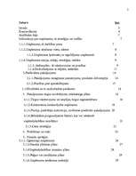 Biznesa plāns 'Uzņēmums SIA "Candino"', 3.