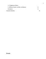 Biznesa plāns 'Uzņēmums SIA "Candino"', 4.