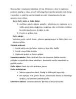 Biznesa plāns 'Uzņēmums SIA "Candino"', 5.