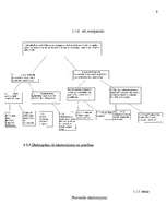 Biznesa plāns 'Uzņēmums SIA "Candino"', 9.