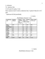 Biznesa plāns 'Uzņēmums SIA "Candino"', 11.