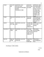 Biznesa plāns 'Uzņēmums SIA "Candino"', 19.