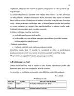 Biznesa plāns 'Uzņēmums SIA "Candino"', 23.