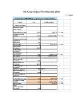 Biznesa plāns 'Uzņēmums SIA "Candino"', 28.