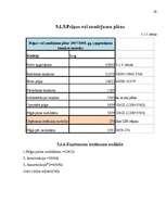 Biznesa plāns 'Uzņēmums SIA "Candino"', 29.