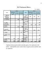 Biznesa plāns 'Uzņēmums SIA "Candino"', 30.