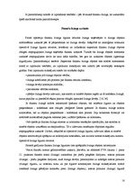 Referāts 'Līzinga darījumu uzskaite', 16.