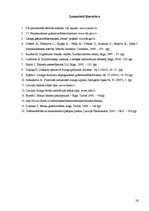 Referāts 'Līzinga darījumu uzskaite', 26.